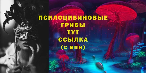 Альфа ПВП Нея
