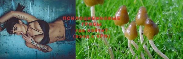 Альфа ПВП Нея