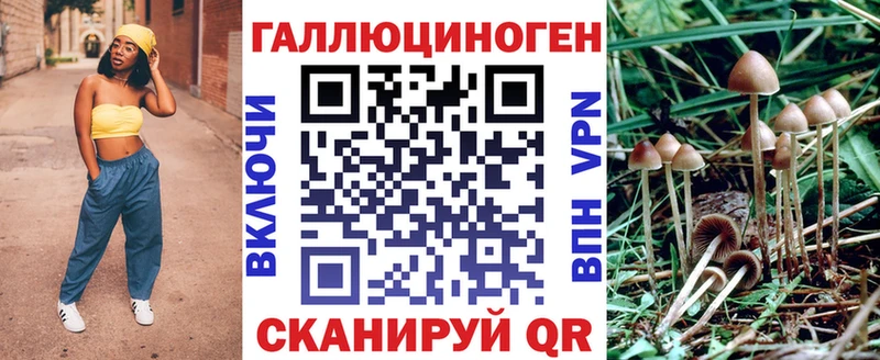ссылка на мегу вход  Туран  Псилоцибиновые грибы Magic Shrooms 