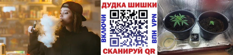 Бошки Шишки AK-47  KRAKEN рабочий сайт  Туран 